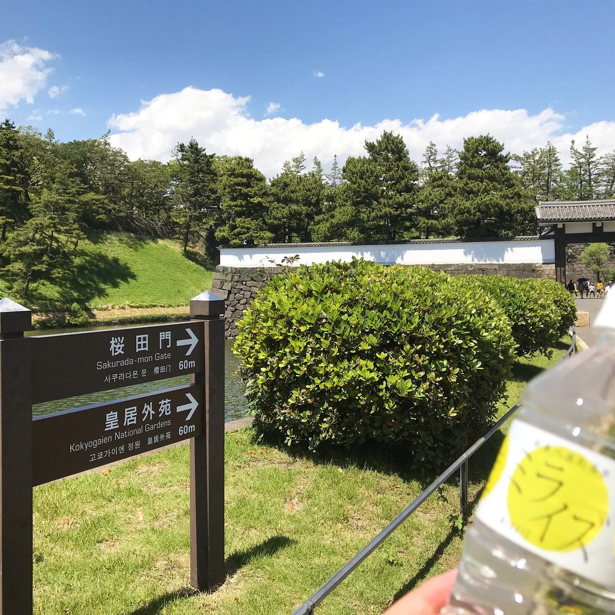 ミライズ 未来へ流れる水 皇居外苑とミライズ 青い空の下 皇居外苑をぶらりと散歩 桜田門まであと少し 暑くてミライズをゴクリ 桜田門を前にし 江戸城の歴史に触れた気分になれました ミライズ Miraiz 皇居外苑 桜田門 天然水