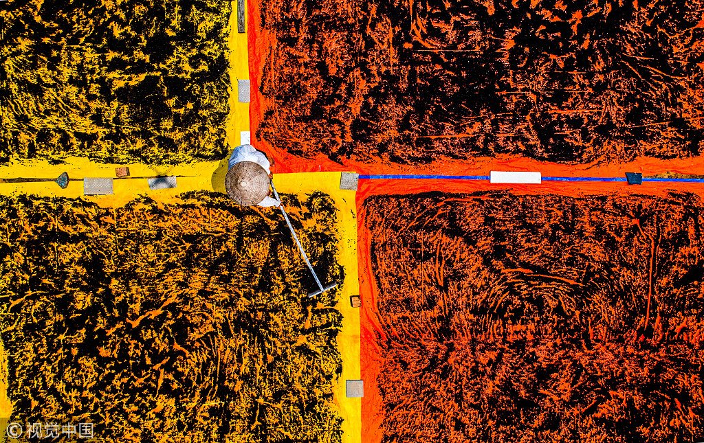 ChinaDaily's tweet photo. A farmer spreading out millions of peppercorns to dry in the sun looks like an artist working on his canvas in Phu Quoc, Vietnam, which is famous for its fish sauce and peppercorn. (Photo: VCG) https://t.co/EuIkZEwKvt