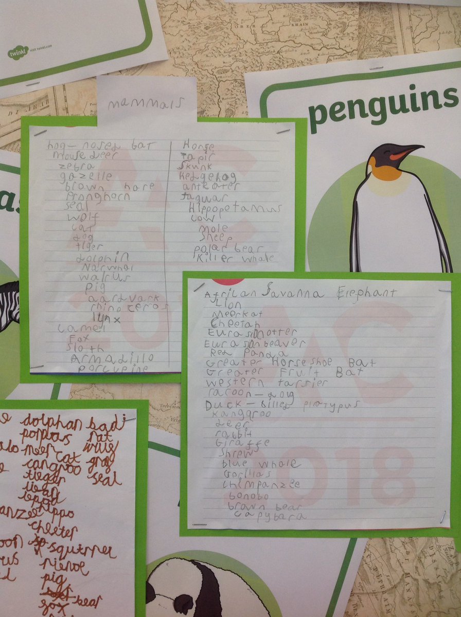 FairfieldRD's tweet photo. Check out Albert and Georges who continued their learning at home and researched various mammals. #FPA #Shinelikeastar https://t.co/XJYglr3EkY