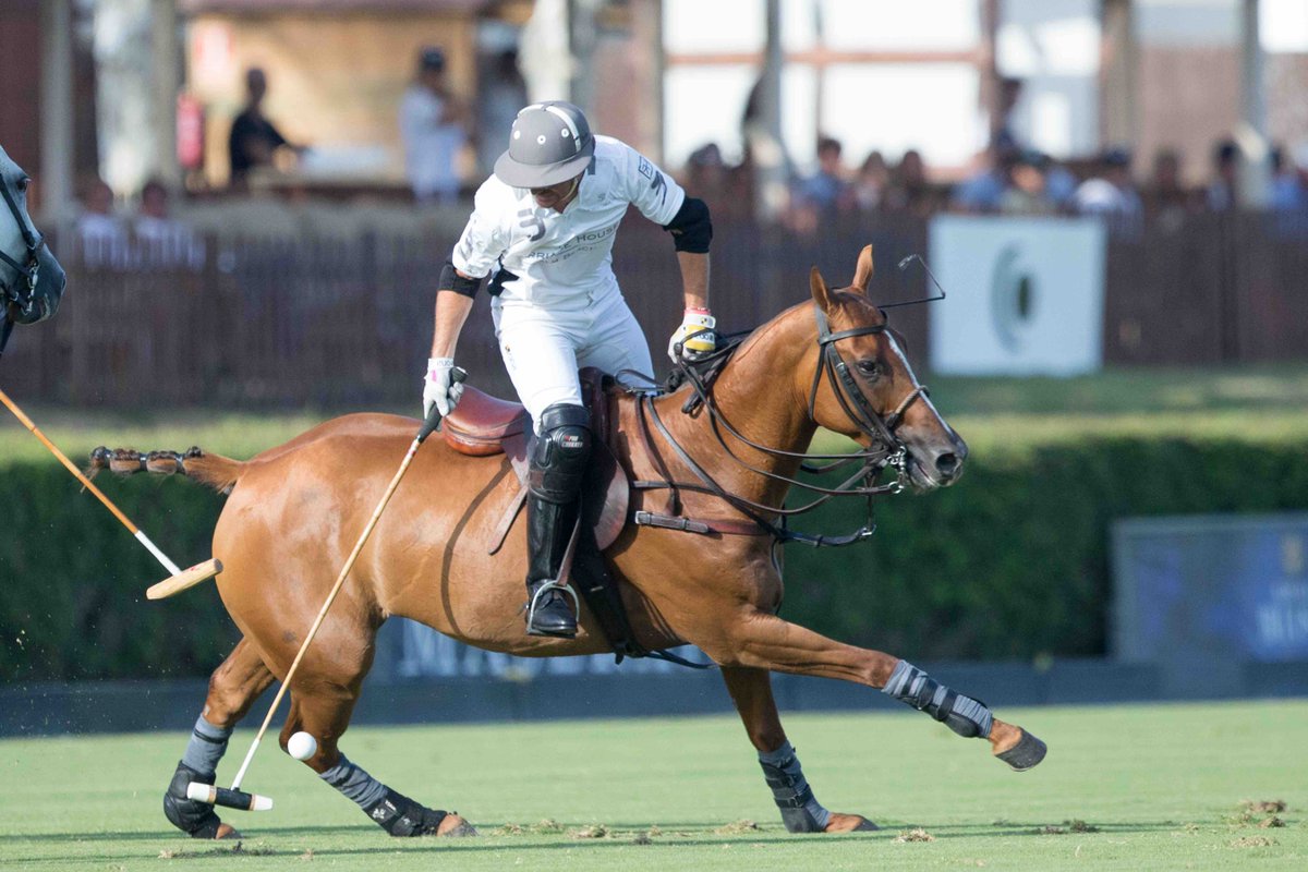 torneointerpolo's tweet photo. #torneointerpolo
August 2018 → 47 Torneo Internacional de Polo.
@ChukkerApp
https://t.co/K6vMWYeSpT   @SantaMariaPoloC
#sotogrande   #horse   #polo4thepeople
EnglisH:  @TorneoIntPol_EN  Photo: #PabloRamirezPhoto https://t.co/xBOftWsQle