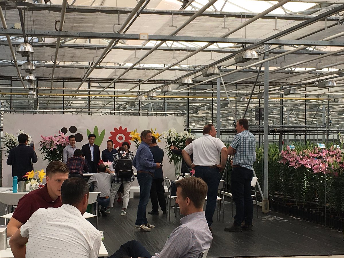 Already a great second day. #dutchlilydays