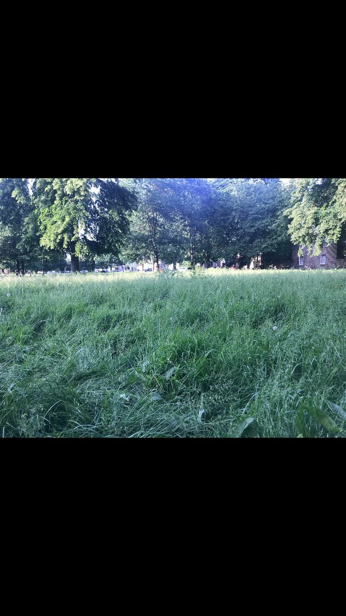 michelle2973's tweet photo. @Hillingdon Please could you let me know when the grass on The Green in West Drayton will be cut!! https://t.co/hQfa88npUU