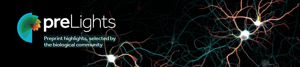 preLights's tweet image. Are you an early-career researcher passionate about #preprints and #scicomm?
Apply to join the preLights community!
We launched over 3 months ago and are now growing our team of preprint highlighters:
prelights.biologists.com/news/call-new-…

RT-s appreciated