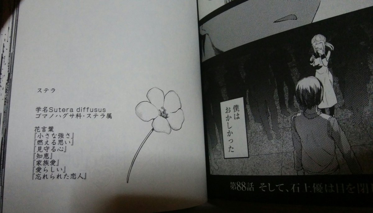 バイク乗り Rn はんじゅくたまご かぐや様読んでたら花言葉の豆知識出てきてこれって落第騎士のステラの由来なのかなと T Co 4d4asesf9a Twitter