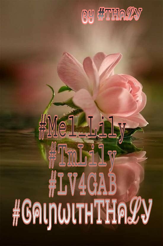 #ᎶคιɲωιтнᎢᎻคℒᎽ
#GainWithTMPETAL
#TeamWolFPack
#TEAMSTALLION
#TeamDollNature
#VUHTANS
#1DDrive
#HelpFromFriends
#HelpLoveFriends
#GainWithMeh
#LynDrive
#GainWithLily
#GainWithPhia
#LV4GAB
#MDrive
#MAJIX
#QuinnDrive
#ieFun
#Mel_Lily
#LV4GAB
#ᎢᎻคℒᎽ
🚦🏤🚦
follow👉@ThalyBela