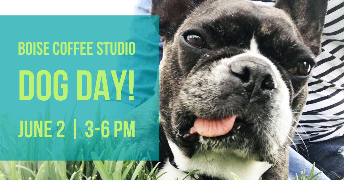 CoffeeStudio1's tweet photo. Bring your dog and grab a drink ☕️🐶 https://t.co/7KsjGZ7f4R