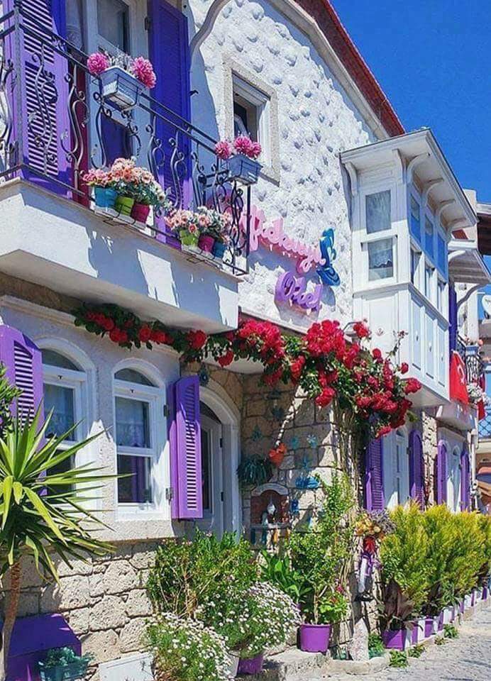 Selamun aleyküm En beklenmedik zamanda, en umulmadık yerden boy verebilir yepyeni bir yaşam..
Ne kendinden umut kes, ne de hayattan..
Gününüz, güzelliklerle dolsun..
GÜNAYDINLAR 💜 💛 💚 💜 💖