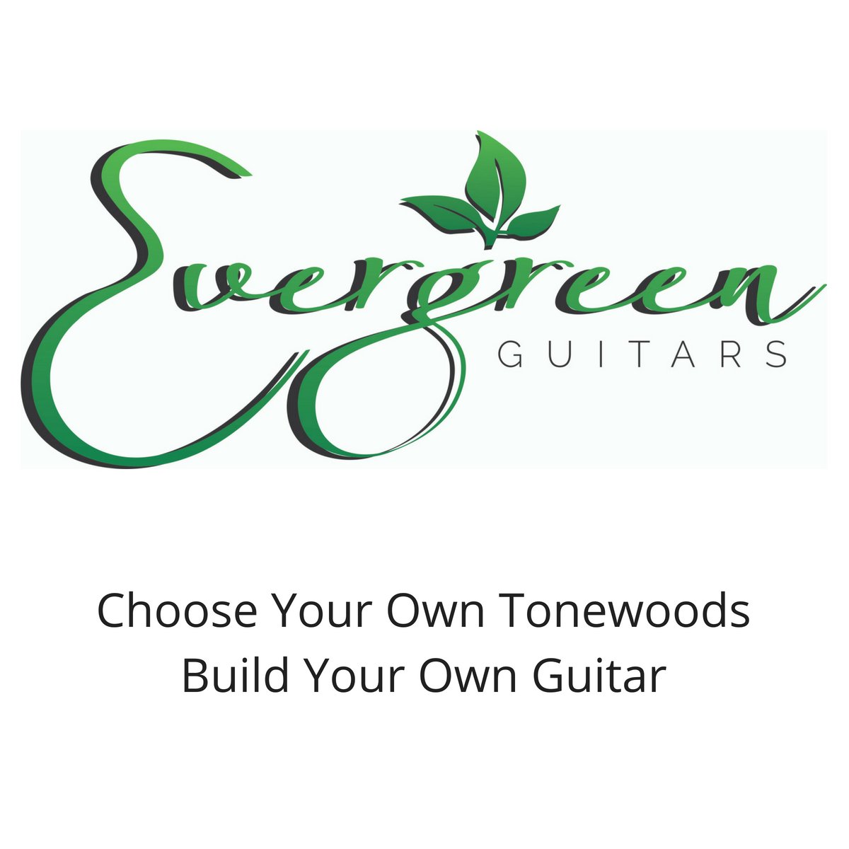 Customize Your Kit - Choose Your Own Tonewoods - On Sale Until Friday