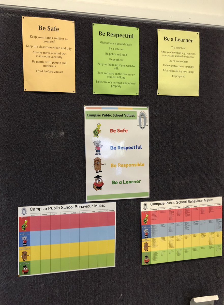 Amy_kimes's tweet photo. #PBL @CampsiePS have launched PBL tokens! Teachers are looking for students being safe, respectful, responsible and learners! Ratio of at least 4:1 positive interactions with students. Students and staff were all excited, involved and dressed up as mascots 🐢🐨🛎🦉 https://t.co/0wYaQcguUp