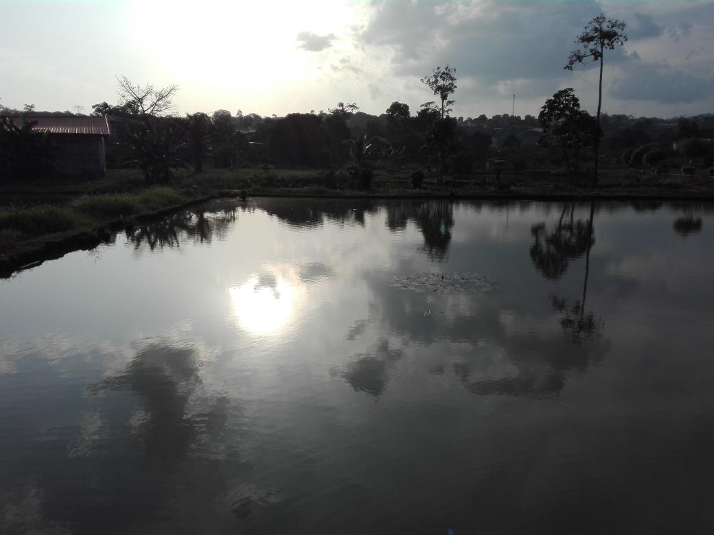 sosowaka's tweet photo. ETOK KOSS

One of the locals' favorite foods is Grilled Fish, Cameroonian's style. During the day, when it comes to tasting the freshest and one of the most delicious in town, Simbock's Etok Koss remains a place to go. Grilled Fish and Sunset...

#Yaounde #Gastronomy https://t.co/8kBlnABRFE