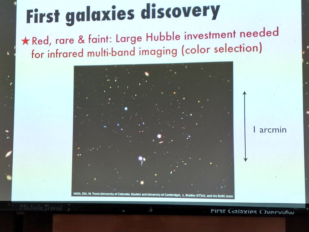 buy The evolutionary biology of human