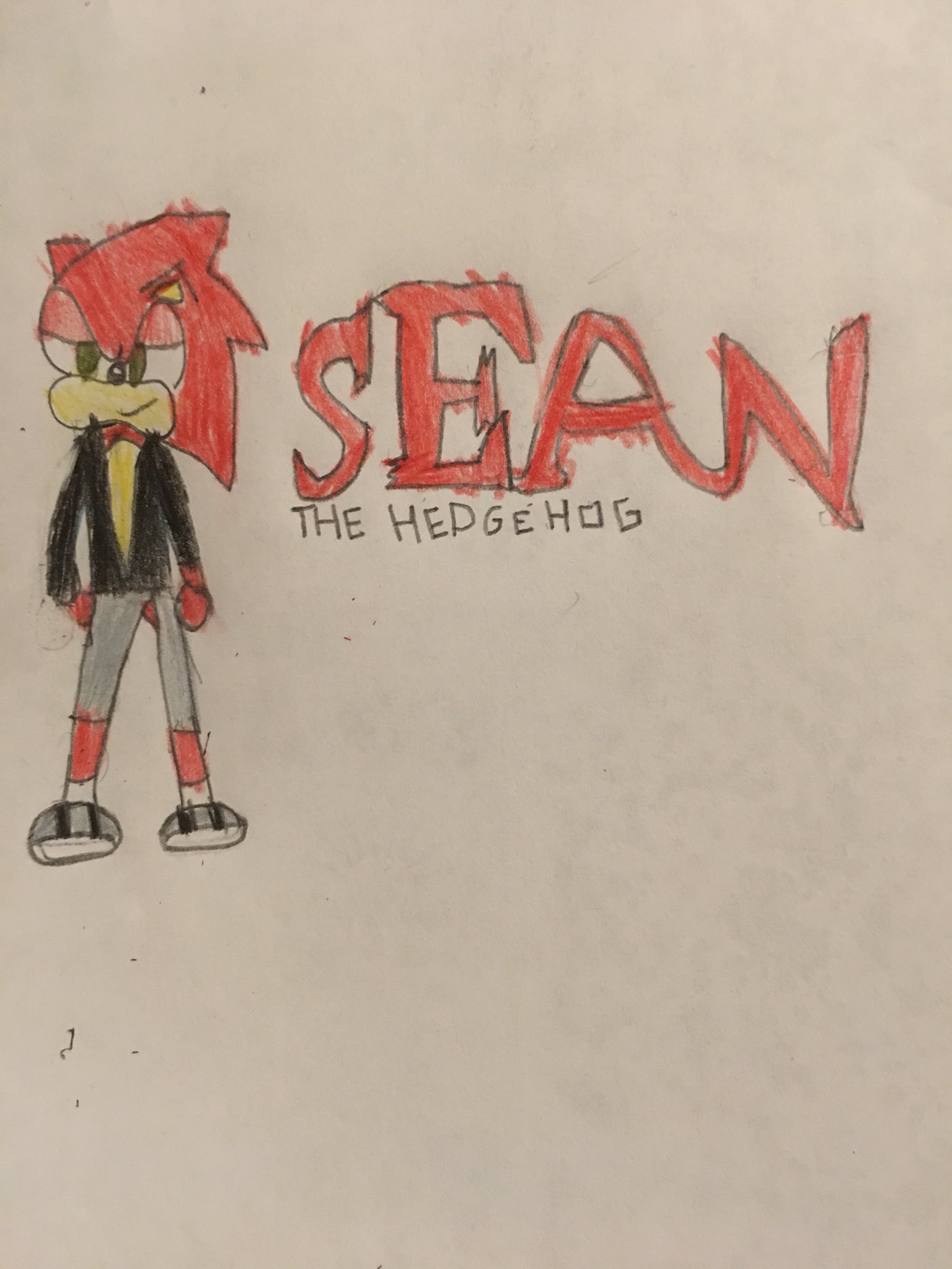 Sean The Hedgehog (@SeanHedgieBoy) / X
