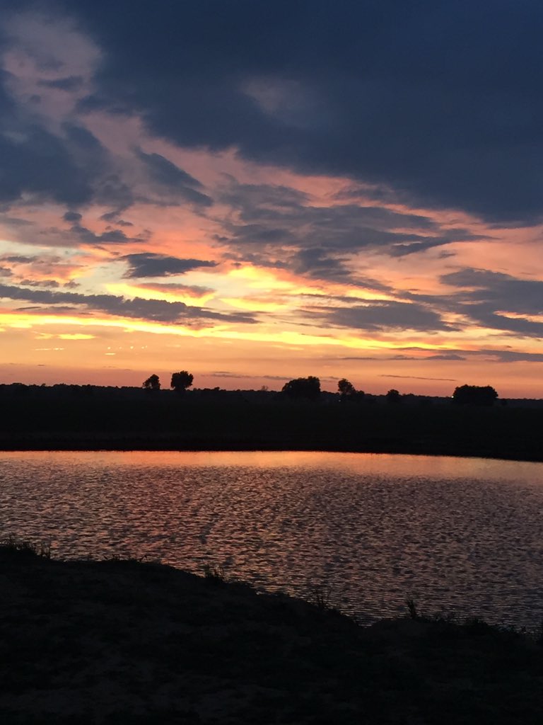 4_stewarts's tweet photo. ❤#summernights https://t.co/JCFOyftdk6