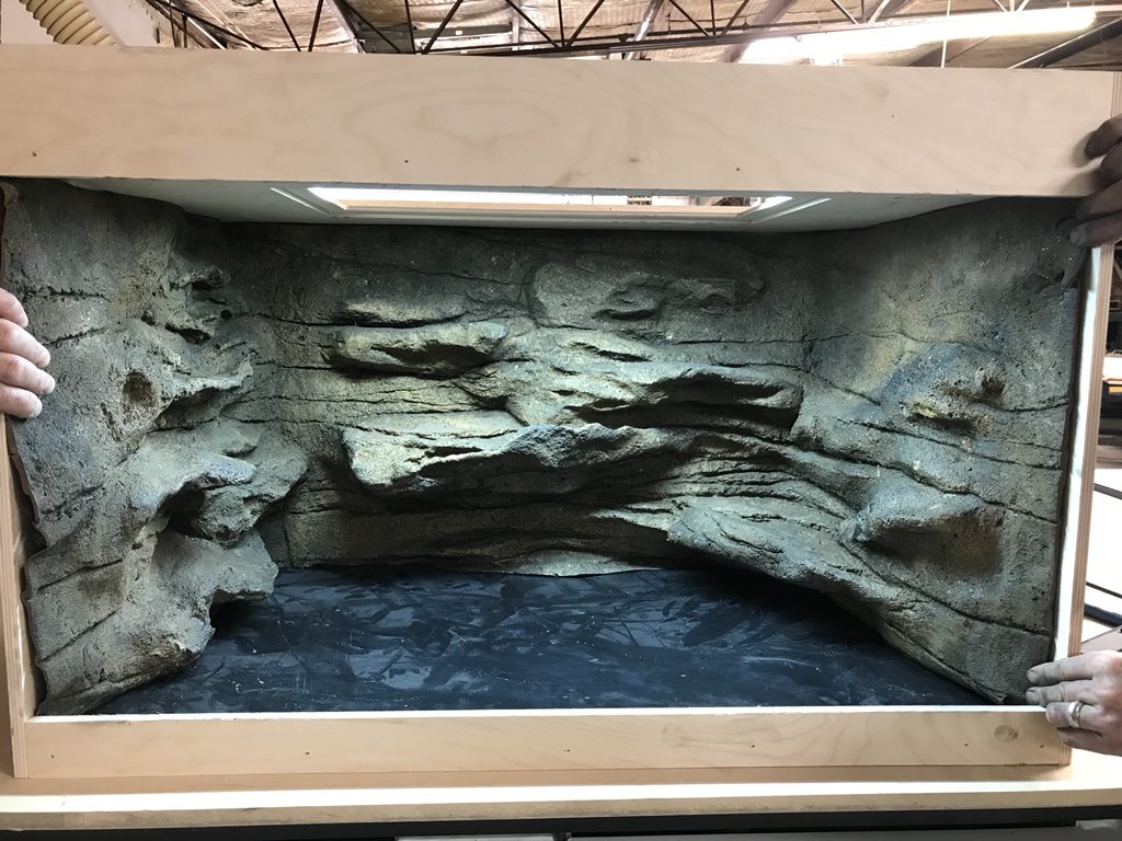 SnakeBytesTV's tweet image. Wasn’t going to share this. But this is a very early peek at the Ball Python prototype we are working on for sale. Thoughts?