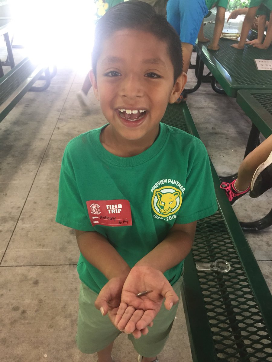 PineviewElemSC's tweet photo. Flashback? Possibly the best trip of the year! These second graders couldn’t stop talking about their trip to Saluda Shoals. Learning about plants, wildlife, habitats and our environment was fun and engaging. @LexingtonTwo #memorabletrip https://t.co/YzFWjjuJwQ