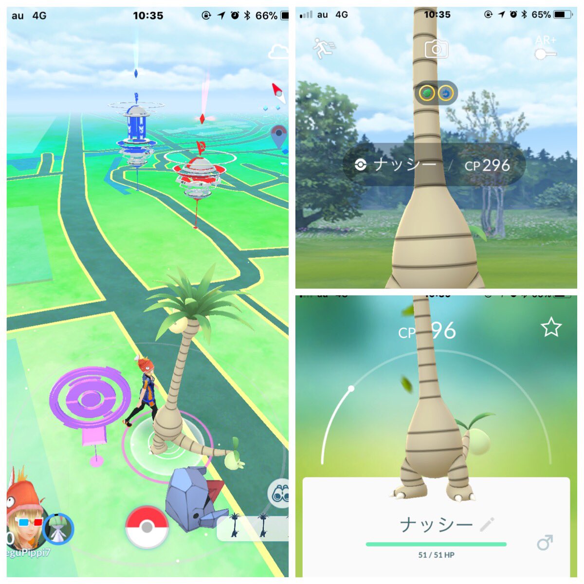 ポケモンgo速報 ナッシーのアローラのすがたバージョン出現中 首がないナッシーも ポケモンgo攻略まとめ速報