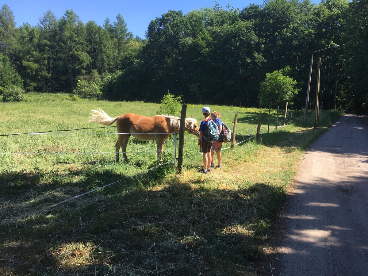 MsEichvalds's tweet photo. Pics from today’s beautiful hike, complete with a seaworthy vessel! #BMSG5camp #BMSinspire @BMSPrimary @JenOFee https://t.co/jB2ALc9mF1