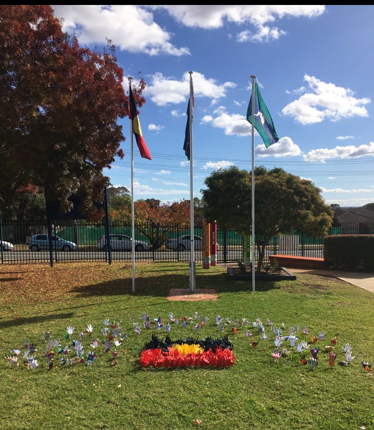 MissWalkerNSW's tweet photo. Celebrating Reconciliation Week #DontKeepHistoryAMystery #aboriginaleducation @CampbelltownEPS @MelMoselen @Dimiti12 @zey0212 @nat_claussen https://t.co/S57CDXxnSS