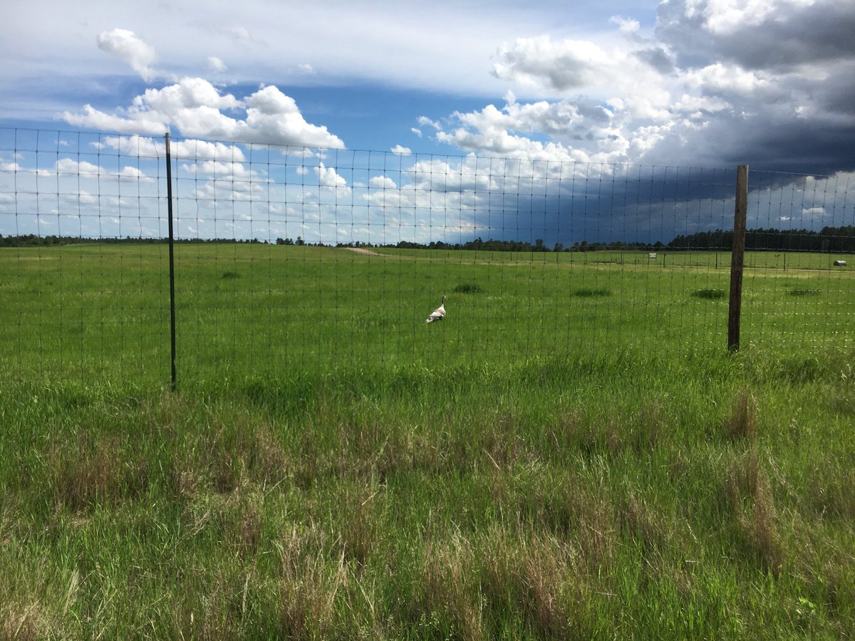 Double Down Outdoors (DbleDwnOutdoors) Twitter