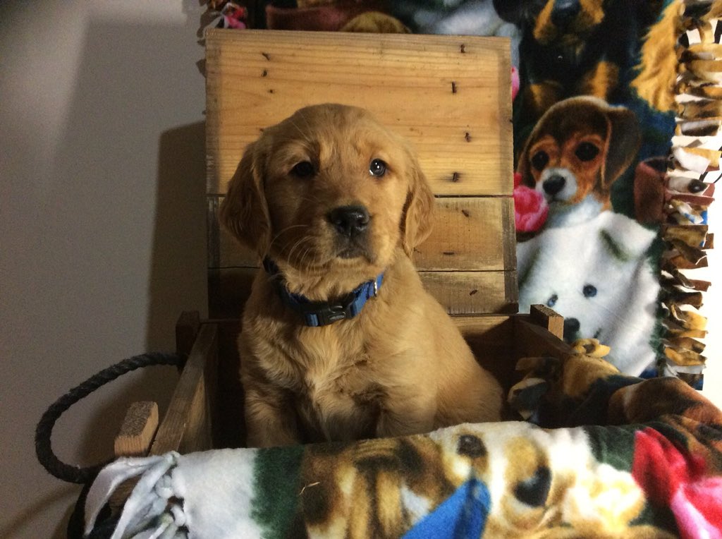 <a href="/IowaChill/">Iowa Chill</a> Daisy