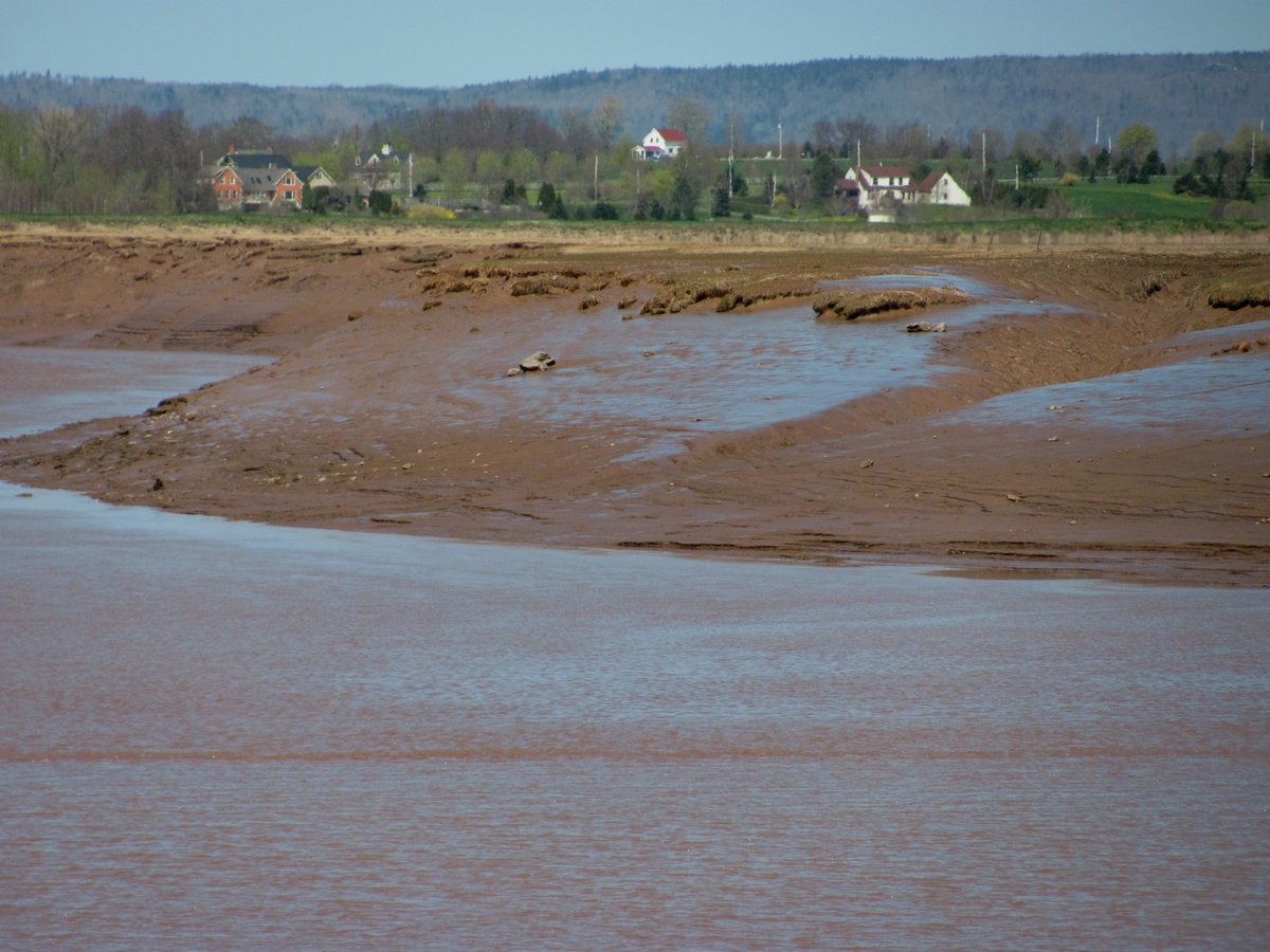 Tidal meanders don't have a typical cut bank & "point bar" (depositional side) morphology bc the tidal current goes both ways. Here is a  @googleearth pic of the river south of Loc 6 entering Minas basin and of 2 of its opposing banks (red stars) at low tide. They look similar.