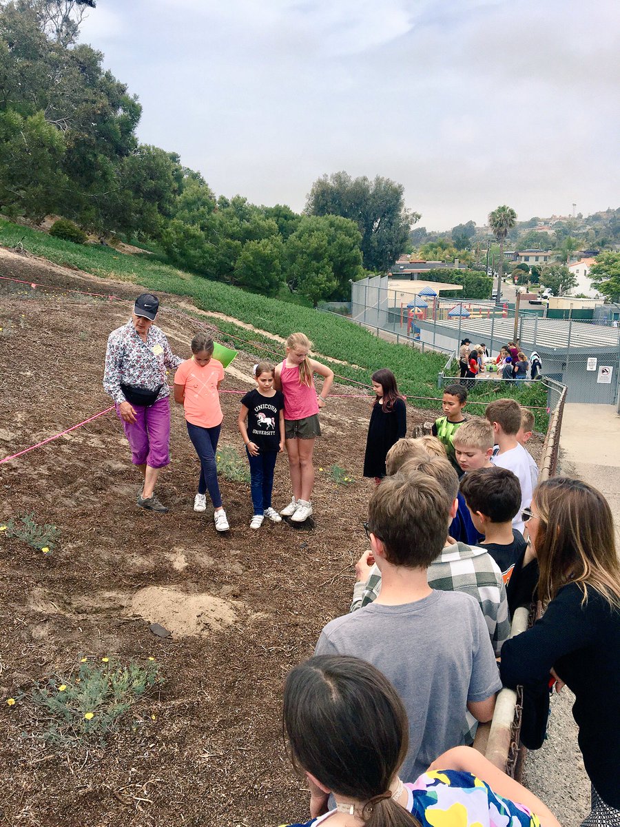 valley90254's tweet photo. 4th grade activity. Learning in our backyard. Sand dune restoration in progress. #locallearning #pvsg #hbcsd #thrivek-life https://t.co/DdceZJK4A3