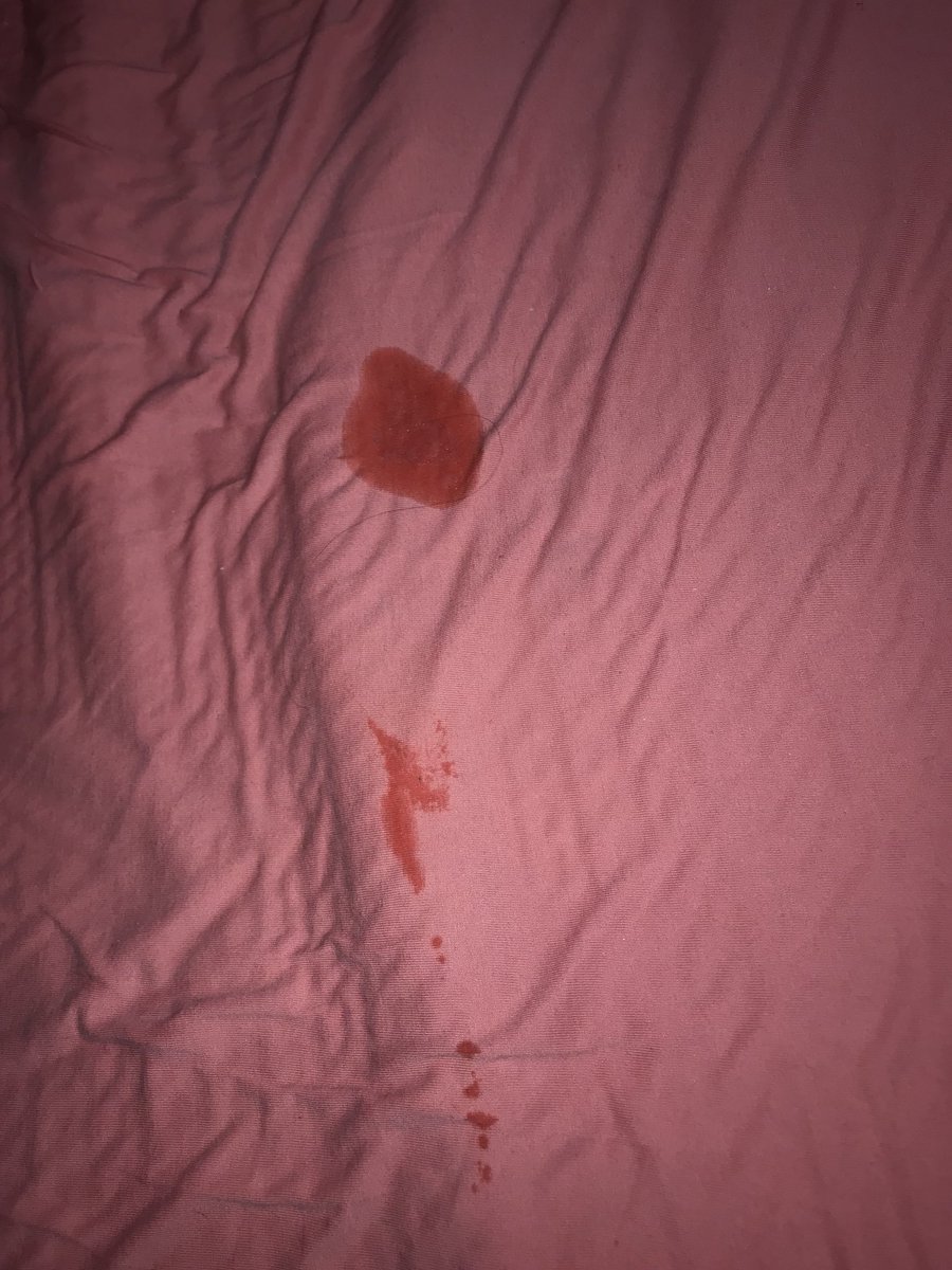 haylalaley4's tweet photo. Fuck, I needed that! Who wants to see a short video of that play session?? #cum #wet #juicy #pussy #wetsheet https://t.co/7mIeEYHemA