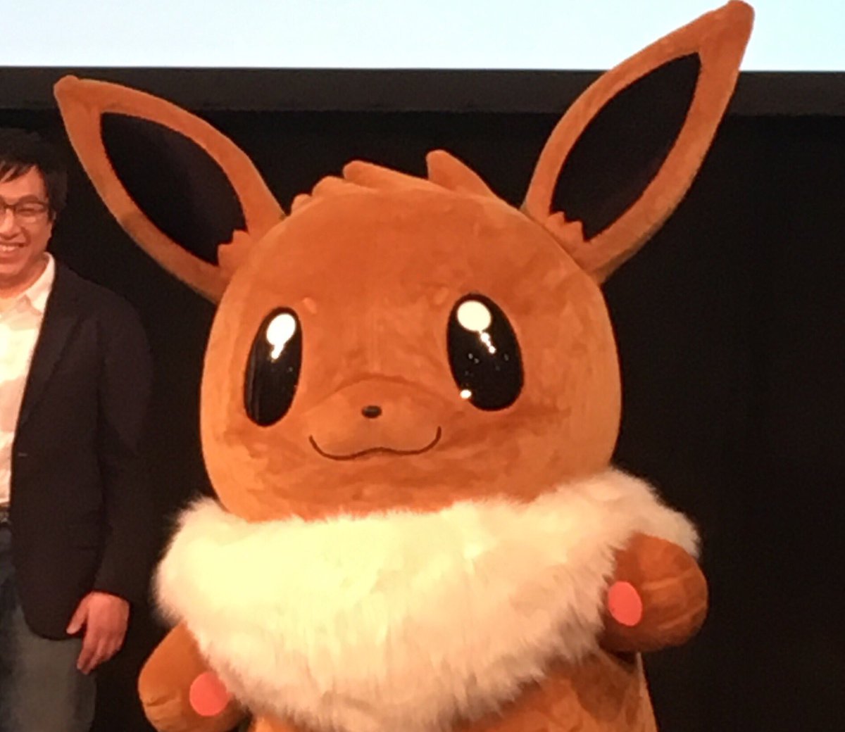 project_eevee's tweet image. 1枚目は絶対絶対イーブイと目が合ってると思うんです。イーブイ、こんな晴れ舞台に立って……感動しかなイーブイ…😭😭
