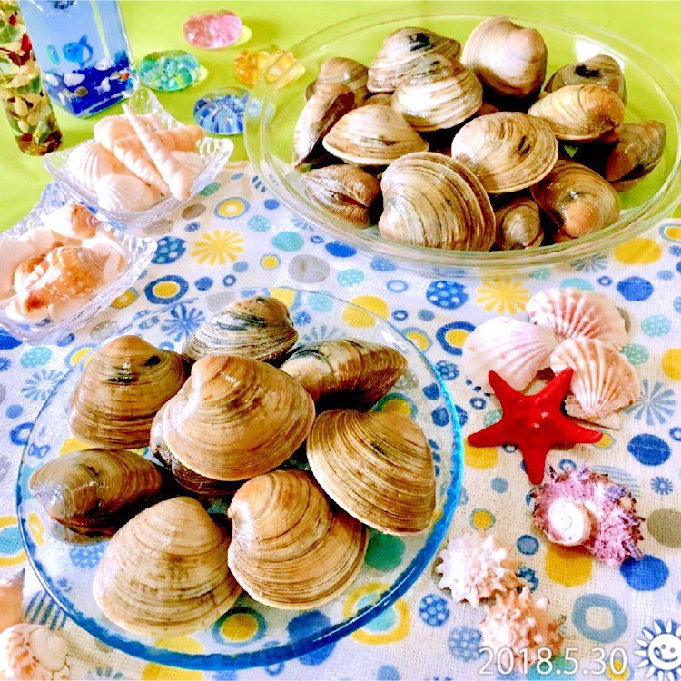 ✴︎千葉県産 ホンビノス貝 2kg✴︎

大きな貝がいっぱい届きました〜♫

ビニール袋に入れて冷蔵庫で保存、砂抜き不要、3日位で食べてくださいって書いてあります！
今日から毎日、貝料理？w miil.me/p/ccsk9