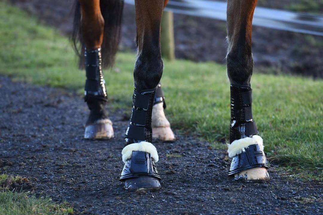 Our beautiful croc tendon &amp; overreach boots always make a statement! dlvr.it/QVXwr5