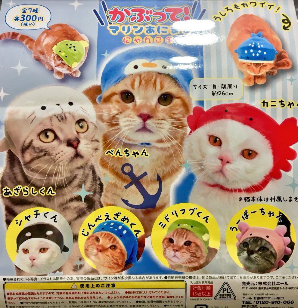 ガチャりば Okinawa 入荷情報 かぶって マリンあにまる エール ねこ 猫 Cat かぶりもの 海 マリン Sea ガチャガチャ カプセルトイ Capsuletoy 扭蛋 沖縄 Okinawa ガチャりば Gatyariba T Co Dyox095bpy