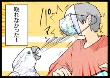 飼い主の眼鏡を外したオウム。次は…

今までのオウム４コマはこちら
 