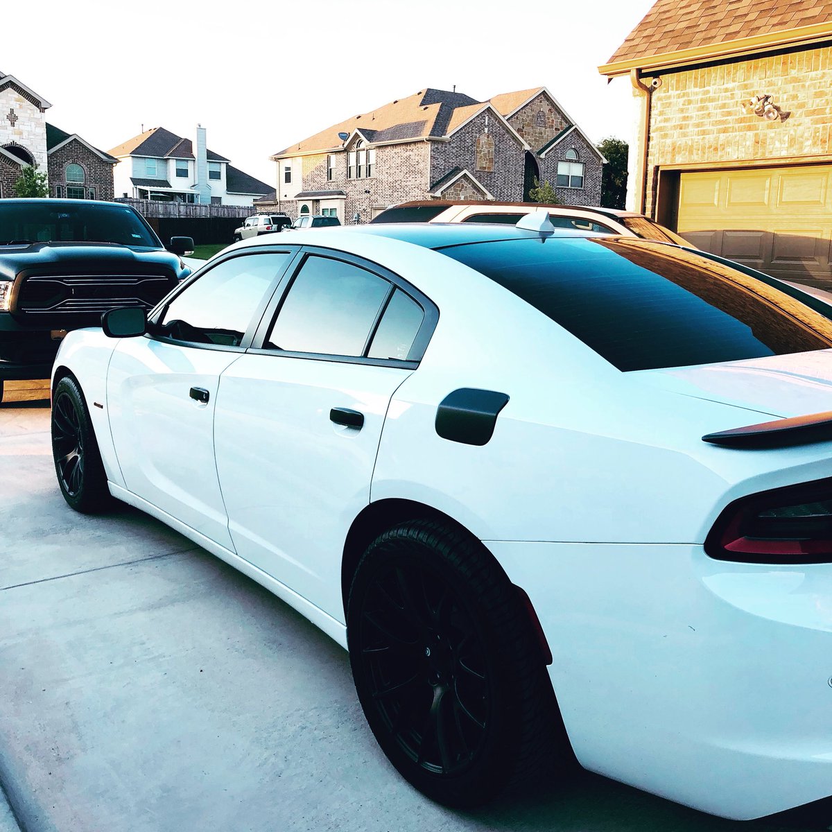 Sean Anderson (@iconsean) on Twitter photo 