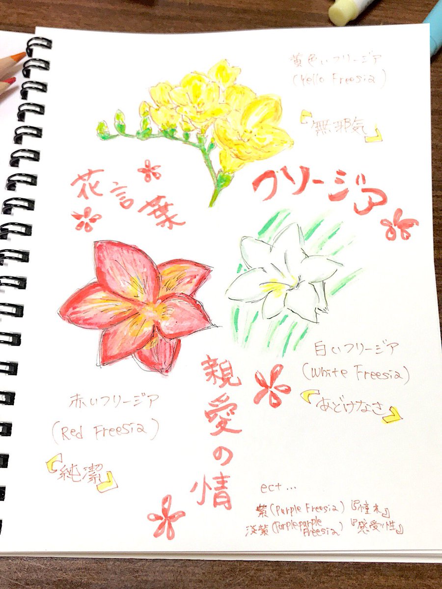 Twitter 上的 みぃーぷ フリージアの花言葉を書いてみた 花言葉知ってると 絵の意味のある表現も出そうと思い勉強していこうと思う 花言葉 イラスト 初心者 勉強 絵描き 似顔絵 フリージア 花 T Co 9pf3sn8yok Twitter