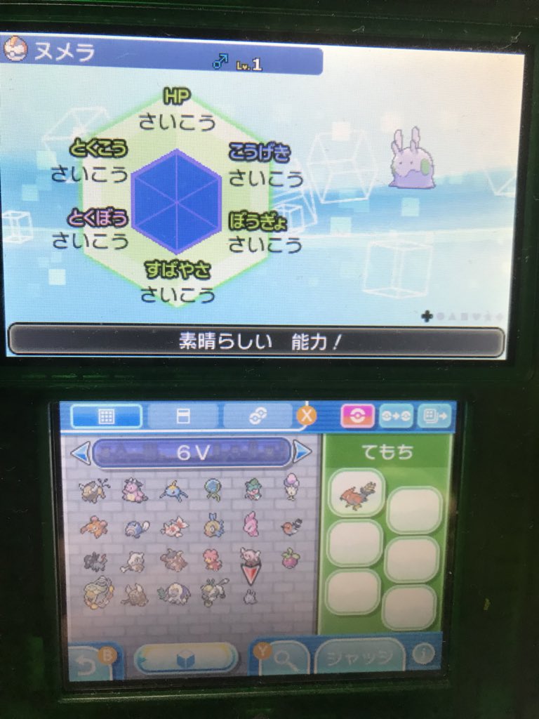 ポケモン6v記録 Twitter