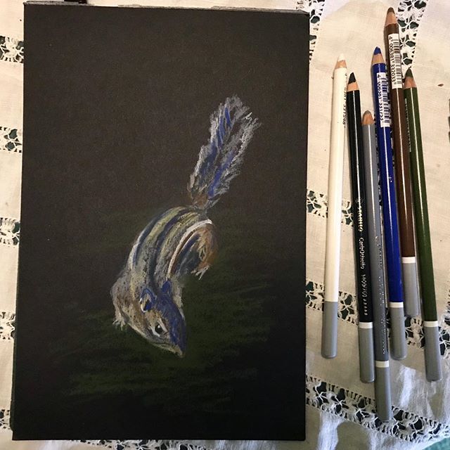 spetersartist's tweet photo. A little chipmunk sketch for day 149 of #365daysofdrawing 
#pasteldrawing #chipmunk #dailydrawing #drawingoftheday #wildlife #wildlifeart #urbanwildlife #createeveryday #art #pastel #sketch #sketchbook #sketching #sketchaday #exploretocreate #discoveryourbackyard https://t.co/PbrJm2xD8n