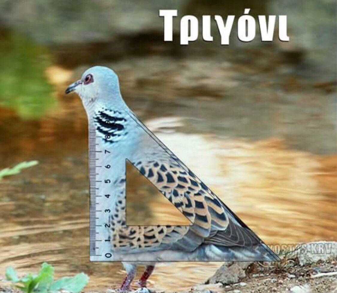 DealvbgXcAcO5nY.jpg:large