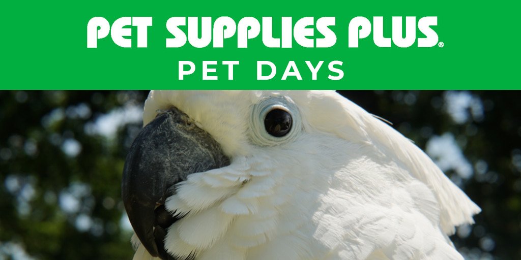 Pet Supplies Plus Near Me Now / Tellpetsuppliesplus Com Official Pet