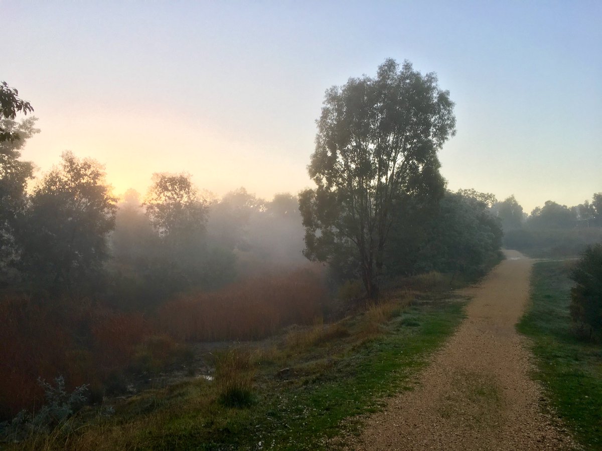RunBeatApp's tweet photo. Beautiful misty morning here after rain last night. Noice! 👍😎❤️#RunBeat #run #running #nikeplus #runner #runners #triathlon #jogging #instarun #athletics #morningrun #trailrun #instarunner #tracknation #triathlete #runchat #photooftheday #seenonmyrun https://t.co/FF6jEtaUMR