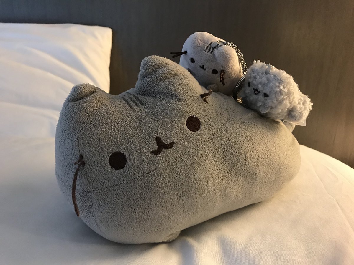 pre gund pusheen