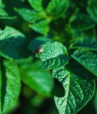 Connect4Climate's tweet photo. #Climatechange cause of massive increase in tick and mosquito diseases >> https://t.co/77DynJOLho #Knowledge4Climate #ActOnClimate https://t.co/Z4X9dFLYGX
