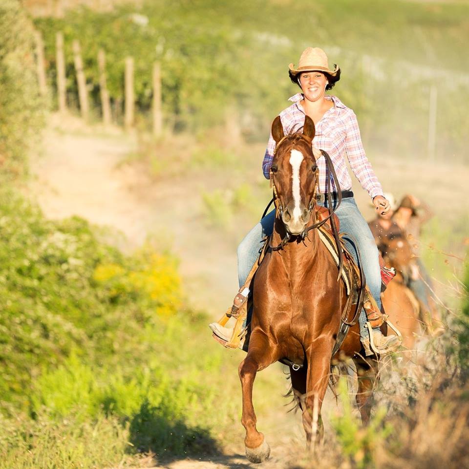Randocheval's tweet photo. Galoper sur un #QuarterHorse dans les vignobles de #Toscane, c'est un peu "le meilleur des 2 mondes"...

Plus d'infos sur ce séjour #western en Italie : https://t.co/TfiD34L68Q
Contactez-nous au 04 37 02 2000 ou info@randocheval.com

#randocheval #cheval #voyage https://t.co/hAuXjHIip9