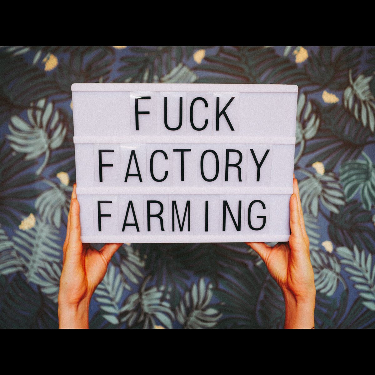 BEETxBEET Ⓥ tweet media