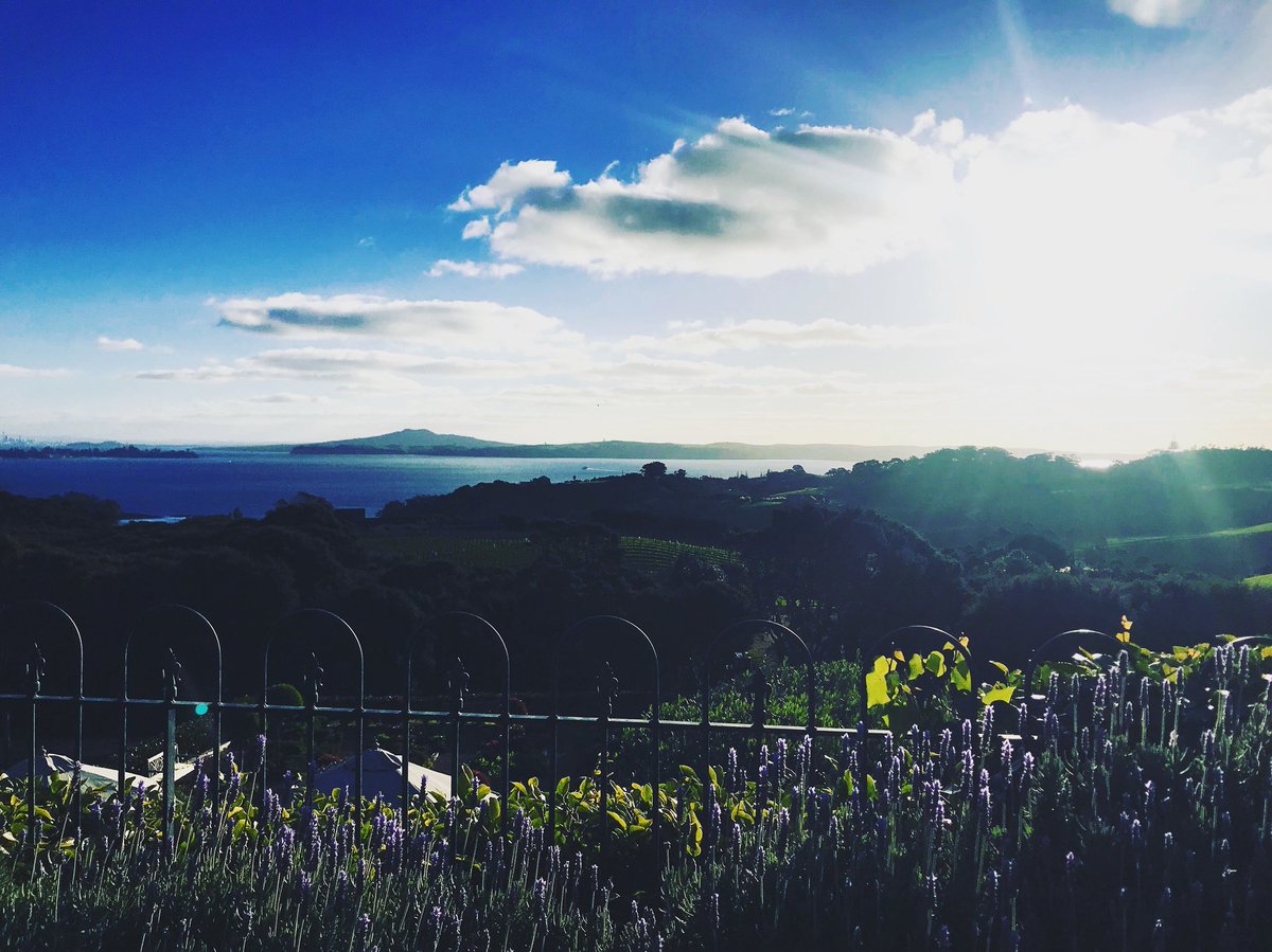 Maren Morris tweet media