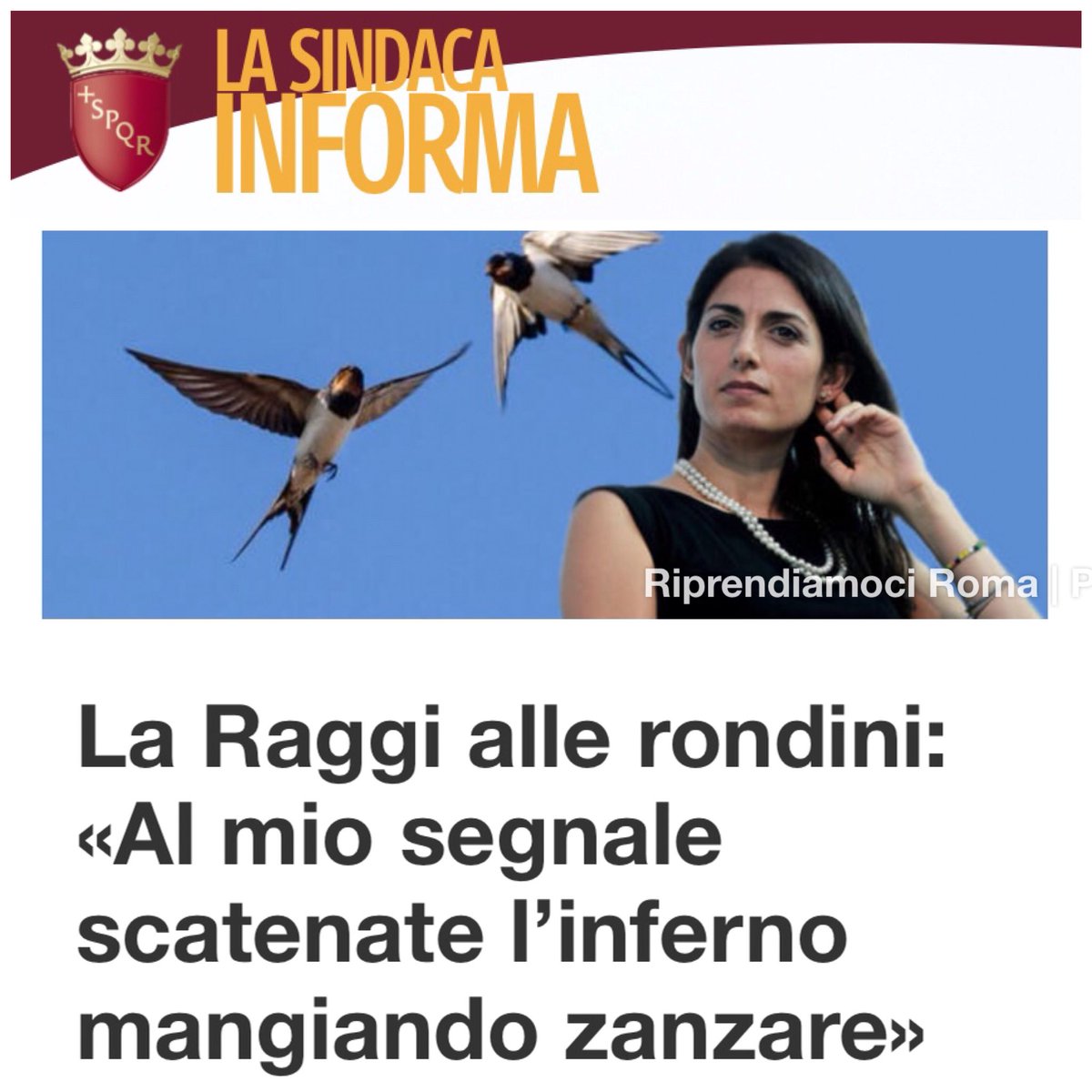 ATTENZIONE: dopo capre e pecore, @virginiaraggi scatena le rondini contro le zanzare! Questa deve andare a casa! @clapas66 @cobotwitt @EugenioCardi @Miti_Vigliero @GalvaniM @siceid @salviamoroma @Luce_Roma @Piamola_A_Ride @GiusTW @missNormaJane @Pasquino70 @mbx1900 @hele_fr