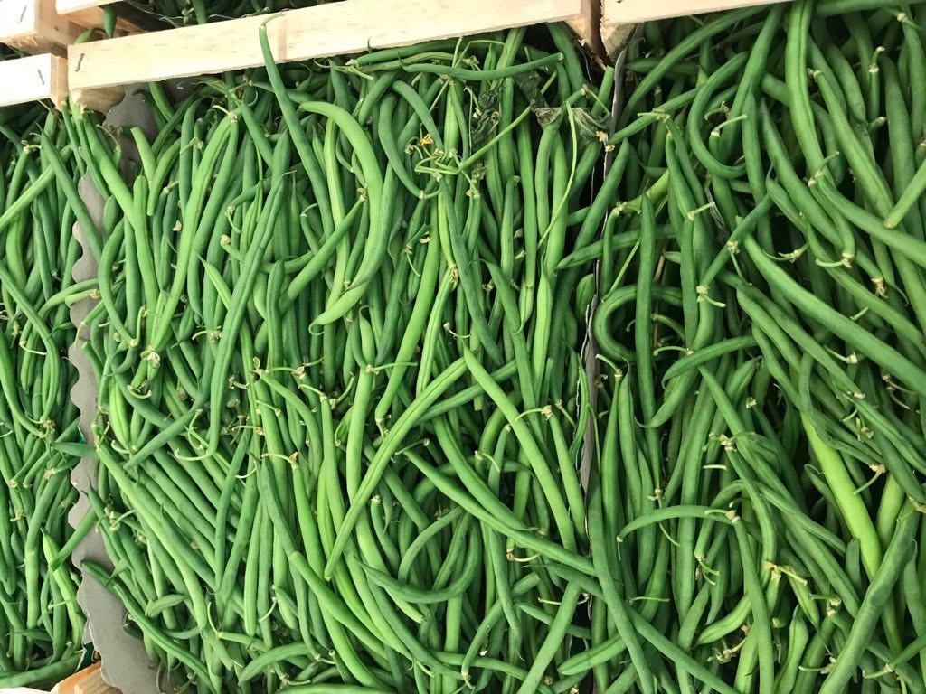 MilanoFreshSrl's tweet photo. Bobby beans 5kg loose ready to go to the North Europe 😍 #delicious #fantstic #awesome #Quality #FirstClass #bobybeans #green #northernEurope #trade #export #italianfood #fruits #vegetables https://t.co/cuvq1v53pn