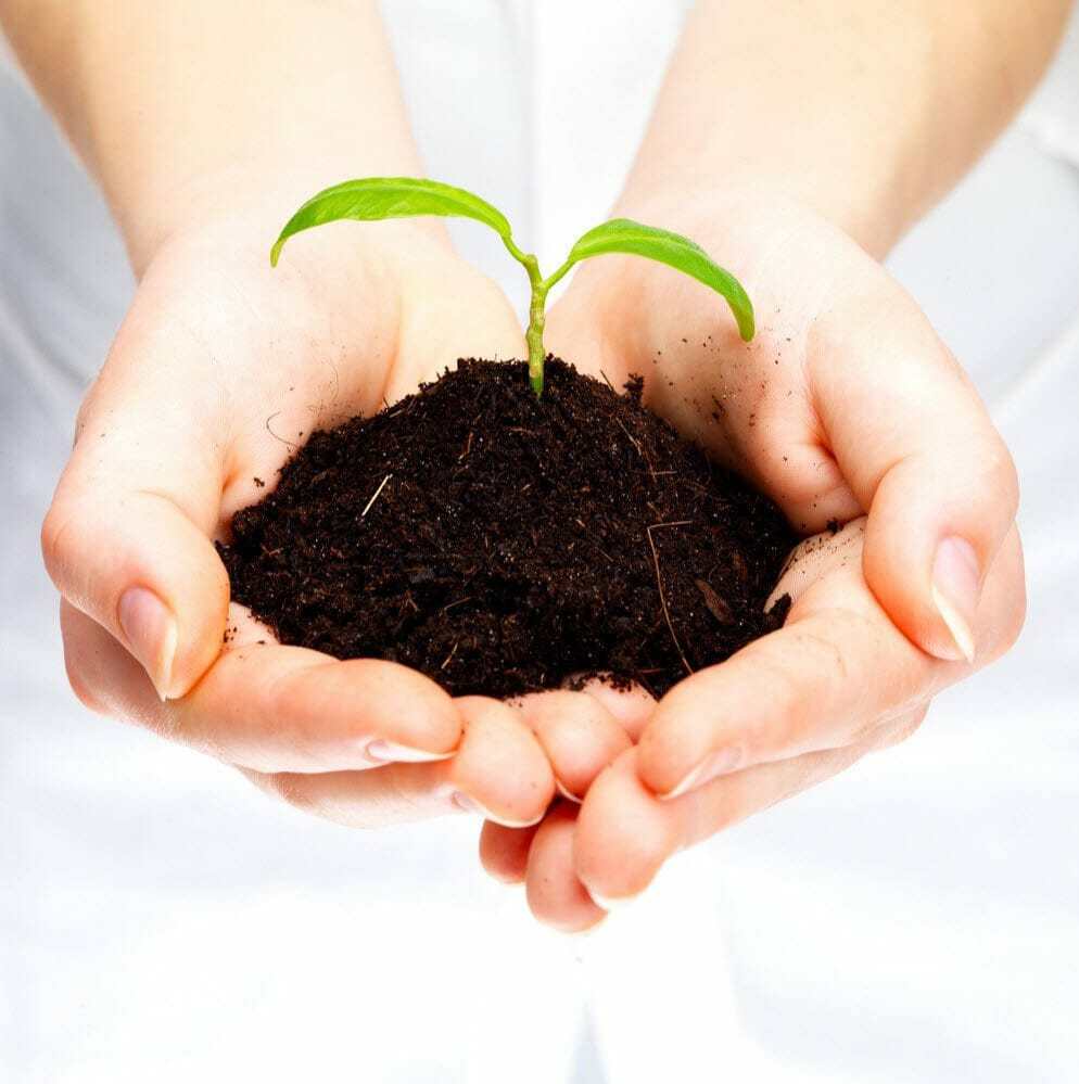 ofesinsight's tweet photo. 3 Methods Of Nurturing Yourself — LOVE LIGHT PEACE https://t.co/0sdXLikGz3 https://t.co/LYAgCiA2Hj