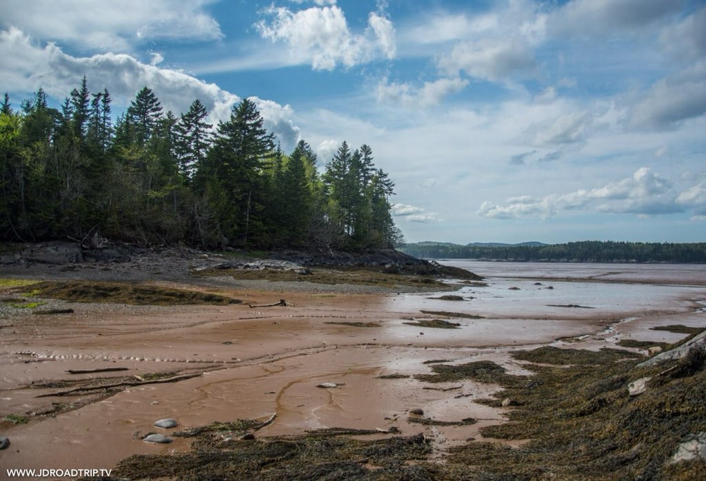 JDroadtrip's tweet photo. #Canada 🇨🇦 - Arrivée dans la région du Nouveau-Brunswick, je découvre le Irving parc avec sa faune et flore absolument dingue ! Les paysages sont vraiment beaux et te laissent sans voix !

Ce n’est que le début et je suis déjà émerveillée par tout ce qui m’entoure 😍 #Jacadie https://t.co/0oVBo1h479