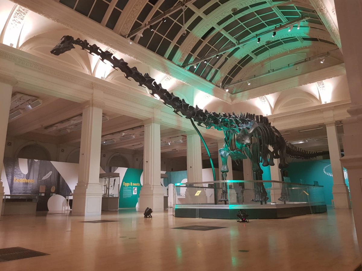 BhamMuseumsHire's tweet photo. Don't forget we still have 'Dine with Dippy' tables available next week 7th June @BM_AG !! If you would like to book a table for ten people to dine with the Natural History Museum Dinosaur call 0121 348 8084... you wouldn't want to miss it! #dinewithdippy #BirminghamUK π¦π¦πΎπΎ https://t.co/tUTsBGW4BA