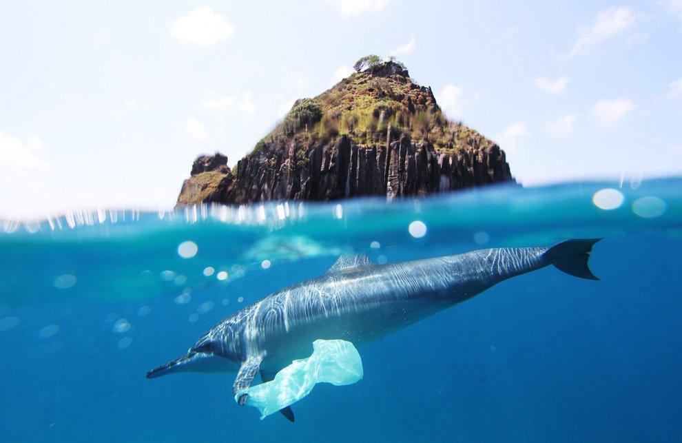 CMNUCC's tweet photo. Cada minuto arrojamos al océano el equivalente de un camión lleno de plástico y, a este ritmo, en 2050 en los océanos habrá más plástico que 🐟 ¡Acepta el reto y contribuye a lograr un  🌎 #SinContaminación por plásticos! https://t.co/ZhiuXRhJKs @ONUMedioAmb #AcciónClimática https://t.co/uVwUHAkfff